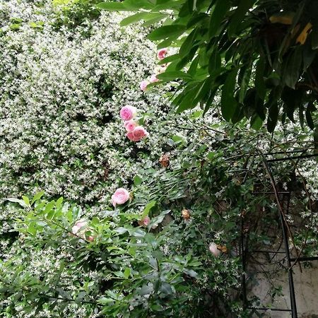 Apartament Relax Santa Chiara Bra Zewnętrze zdjęcie